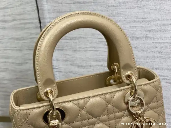 Tony Luxuries Lady diro Gold large Calfskin-24cm 0629